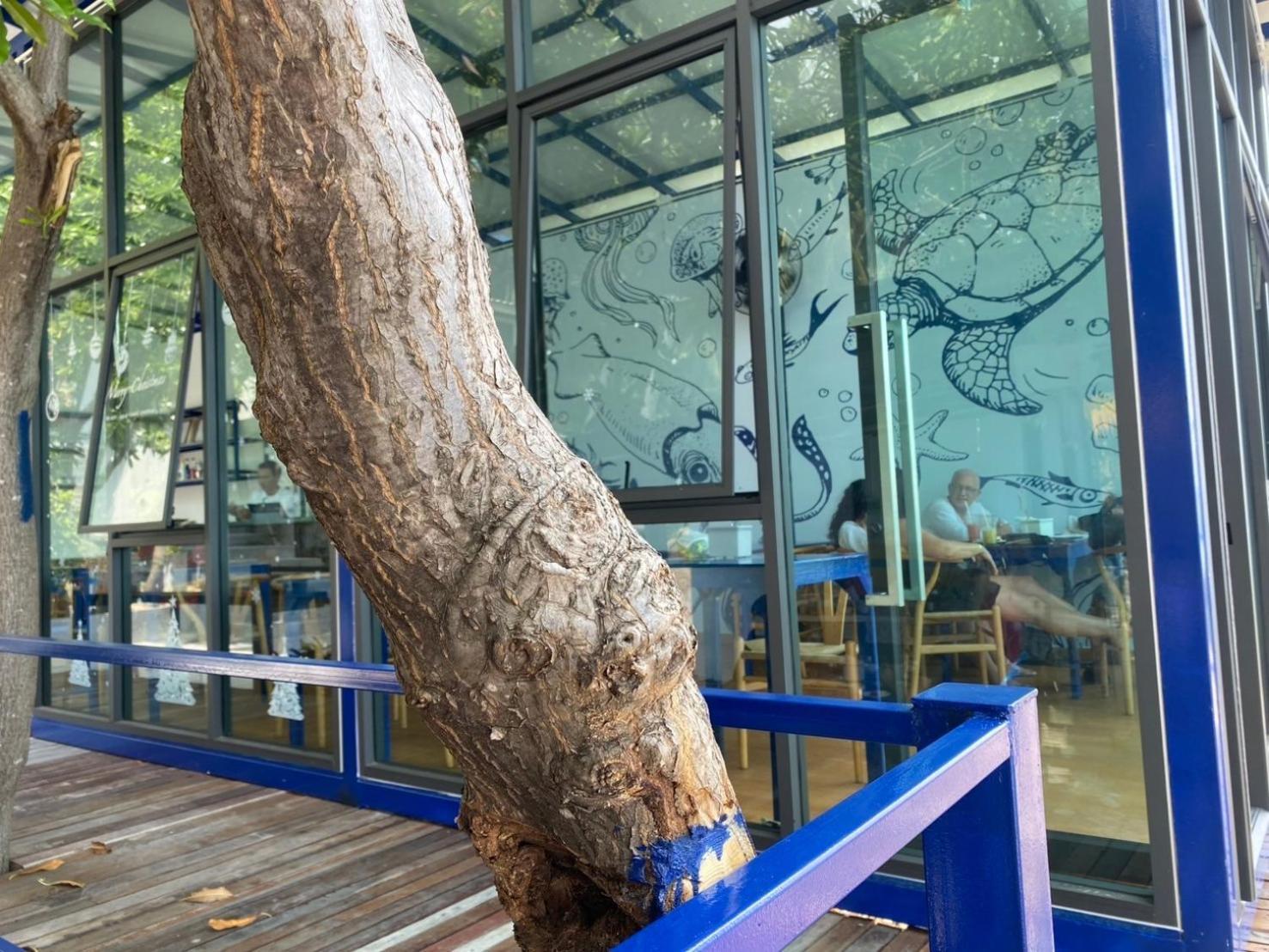 קו טאו P.D. Beach Resort מראה חיצוני תמונה